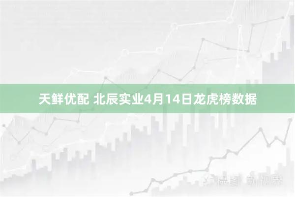 天鲜优配 北辰实业4月14日龙虎榜数据