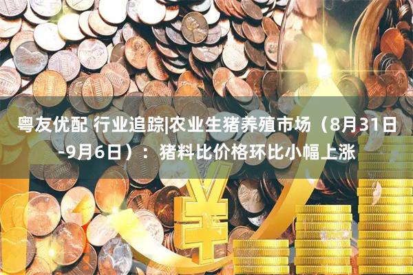 粤友优配 行业追踪|农业生猪养殖市场（8月31日-9月6日）：猪料比价格环比小幅上涨